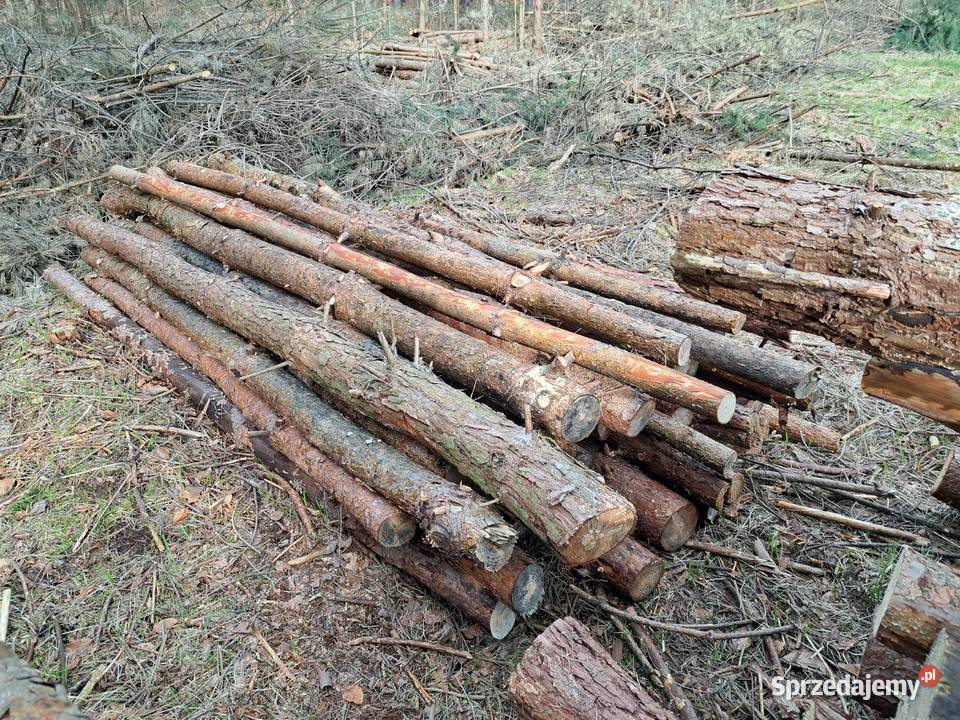 sprzedaz stepli budowlanych 3m opałsosnabrzoza Radostowice