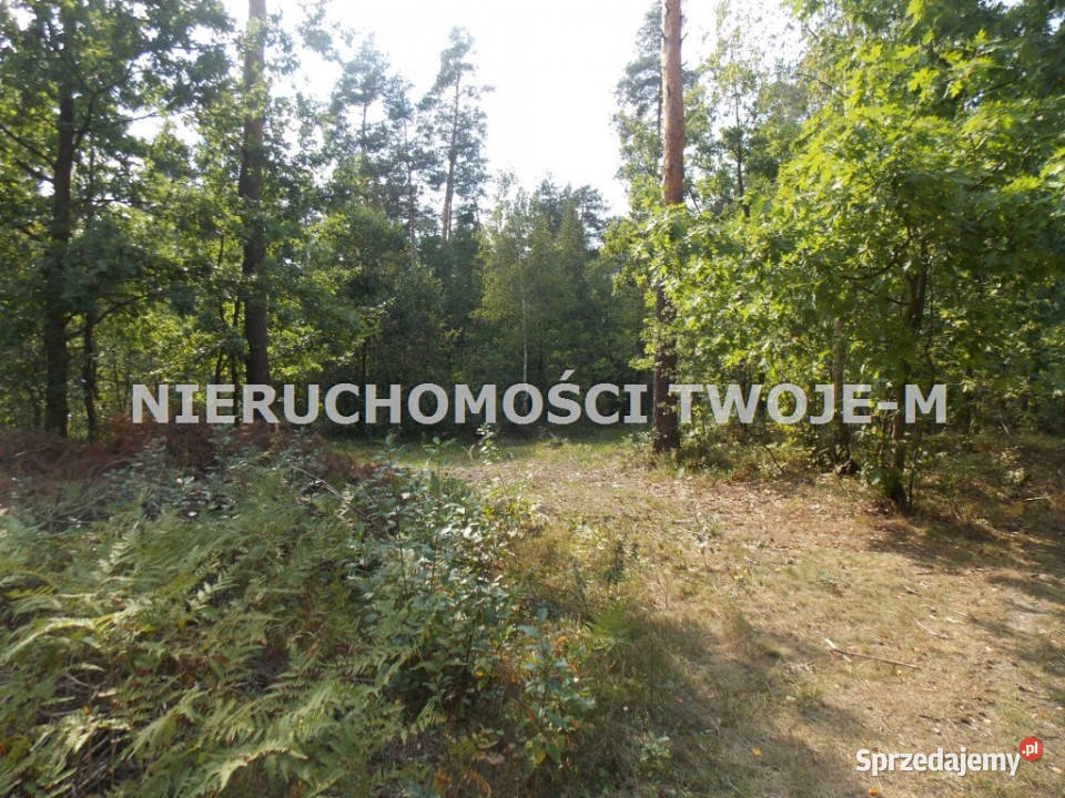 grunt 1530m2 Ostrowiec Świętokrzyski świętokrzyskie