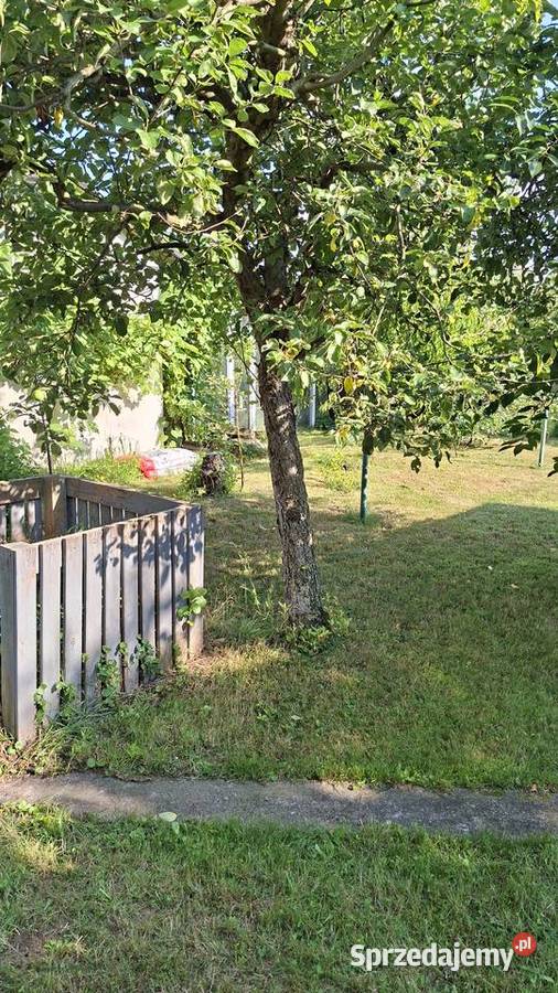 Wrocław ROD Mieczyk Murowana altana 260 m Gotowa Grunty i działki dolnośląskie