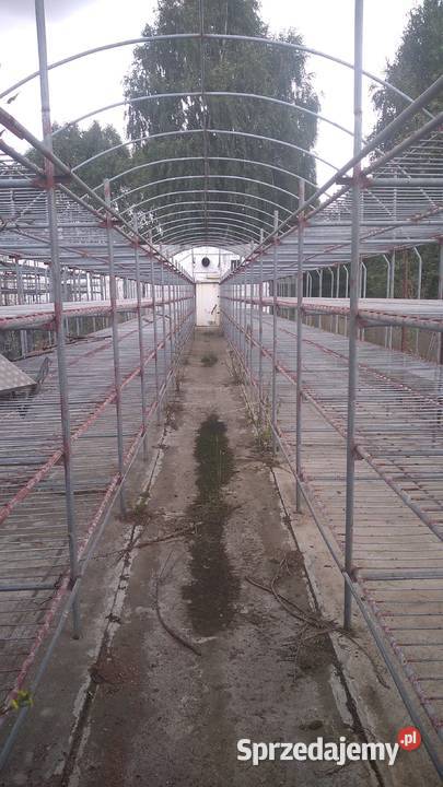 Sprzedam tunel foliowy 7x30 ocynkowany Tunele foliowe śląskie Waleńczów