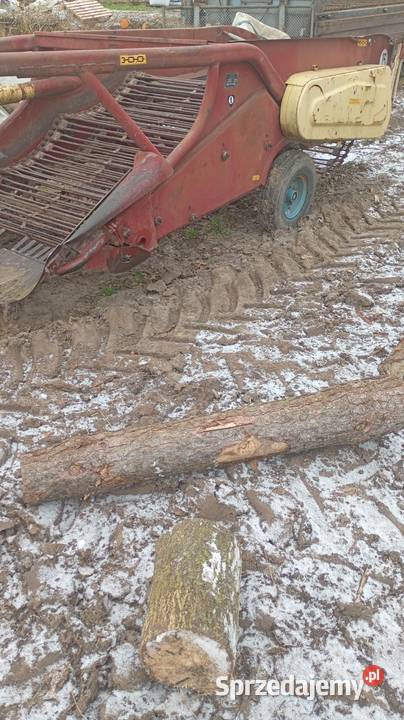 Kopaczka do ziemniaków Szydłów