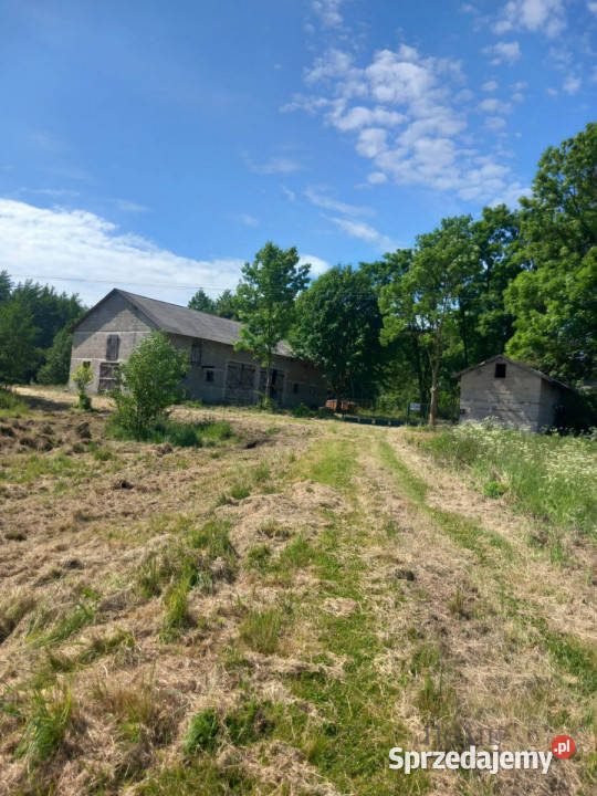 Grunt Zazdrość 18150m2 kanalizacja