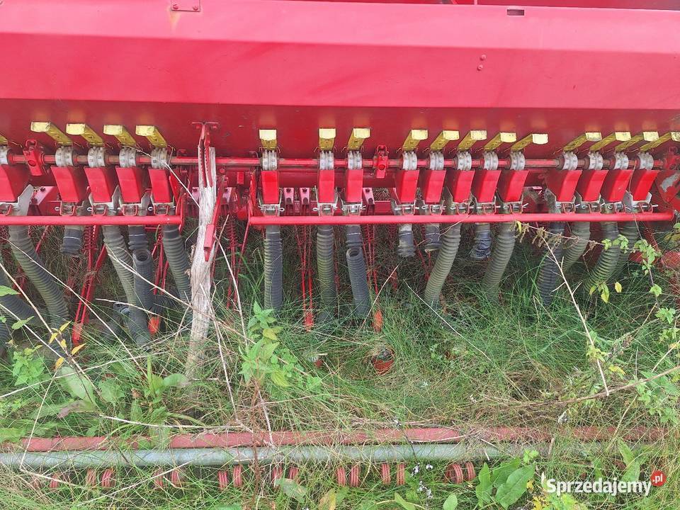 Siewnik Poznaniak warmińsko-mazurskie Kętrzyn