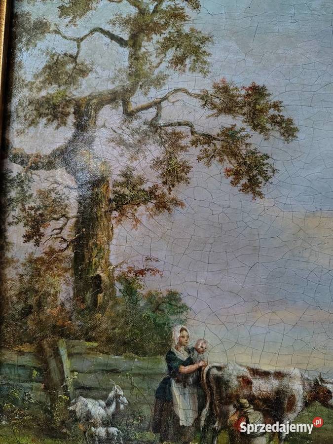 Stary obraz olejny Pastwisko Kartuzy