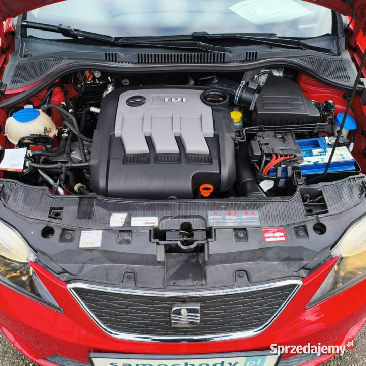 Seat Ibiza Ks serwisowa IV 2008 Janów Lubelski