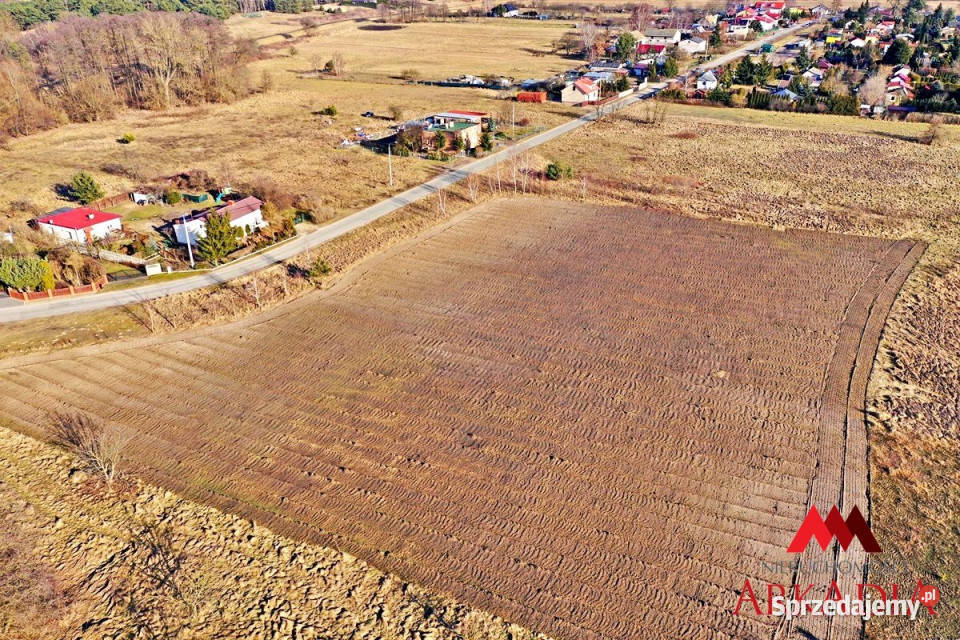 Działka Modzerowo 3010m2 Sprzedaż kujawsko-pomorskie