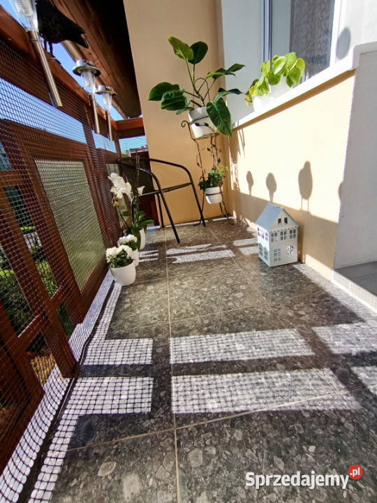 Duże mieszkanie Jelenia Góra Cieplice 110m2 Liczba pokoi 5