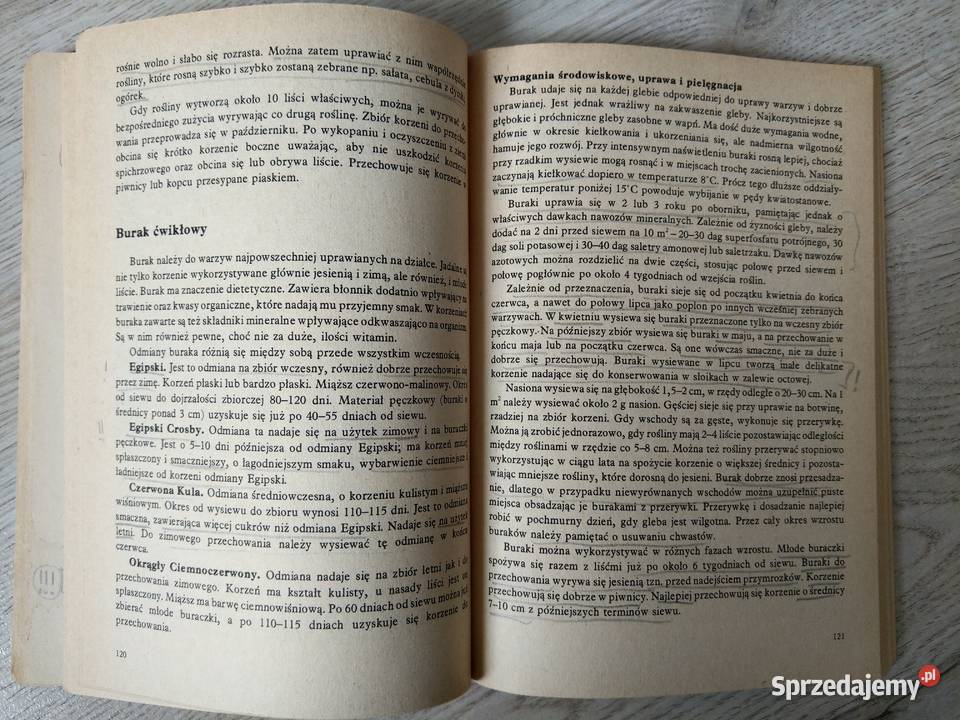 ABC warzywnictwa Moja działka sprzedam