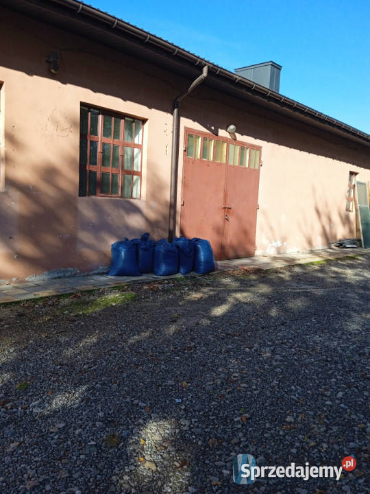 Lokal Janiszew 250m2