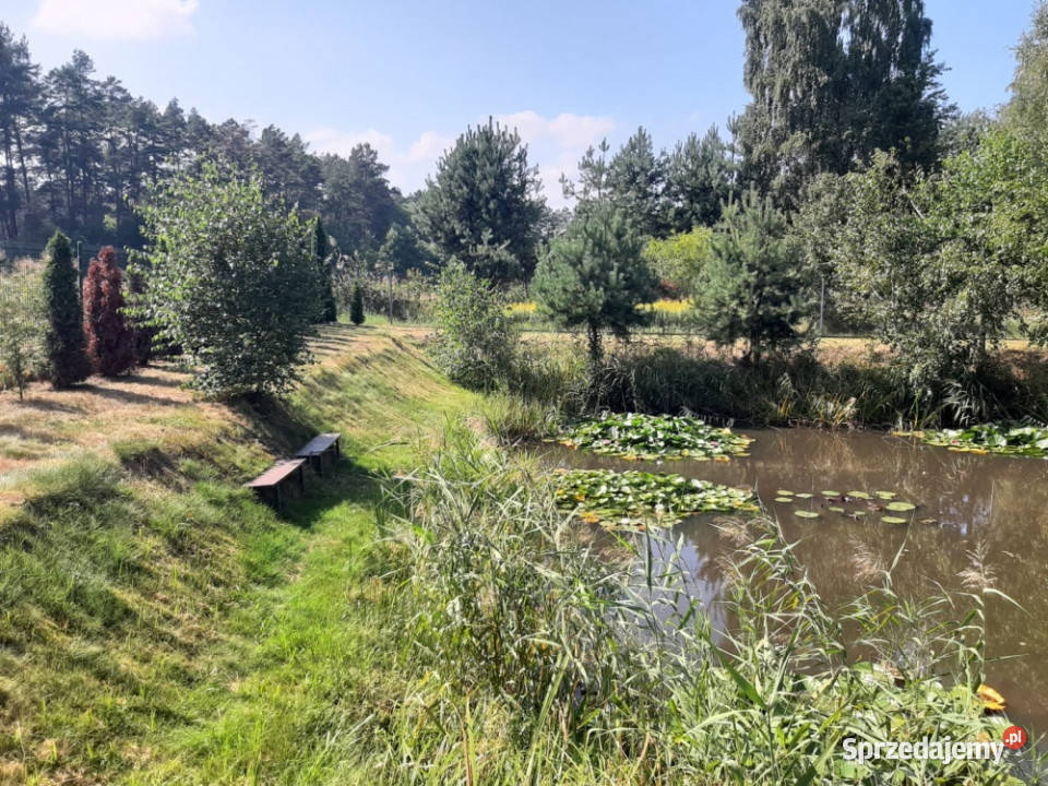 Działka budowlana 3074m2 siatka świętokrzyskie