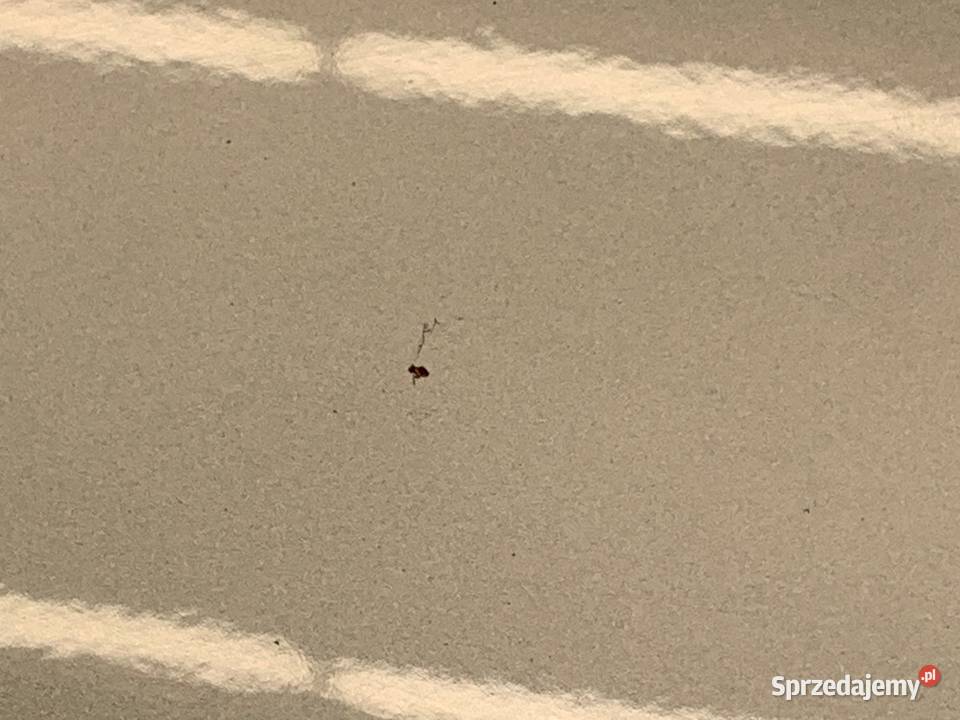 MASKA FIAT 500 Hatchback SREBRNY POKRYWA