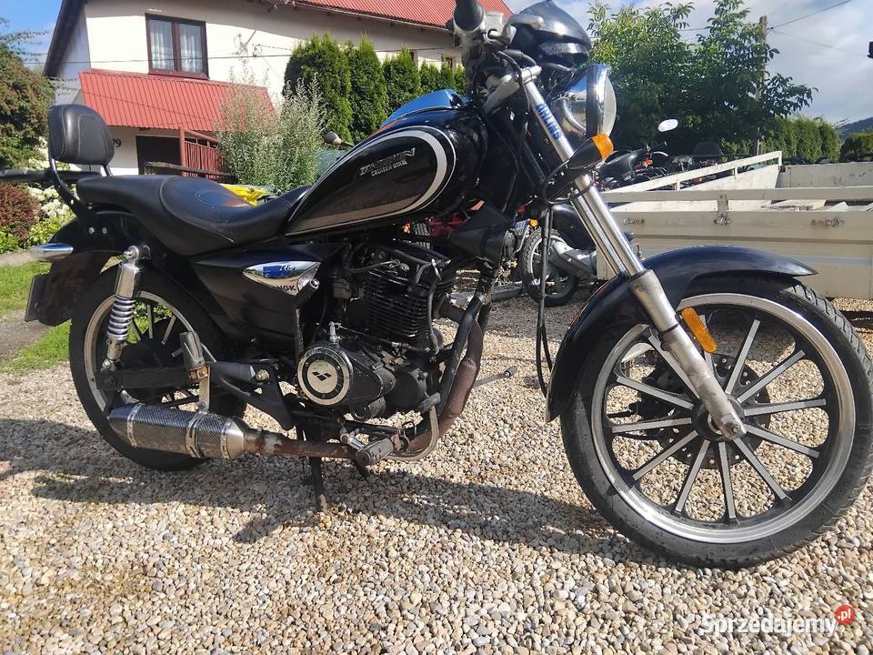 Zongshen 125 Chopper Cruiser Daelim Pozostałe Konina