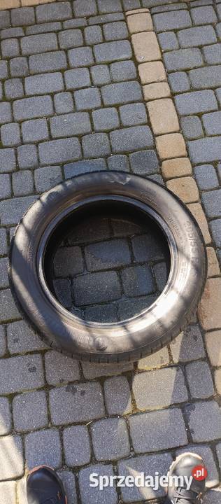 Conti Eco Contact5 2055516 Mińsk Mazowiecki