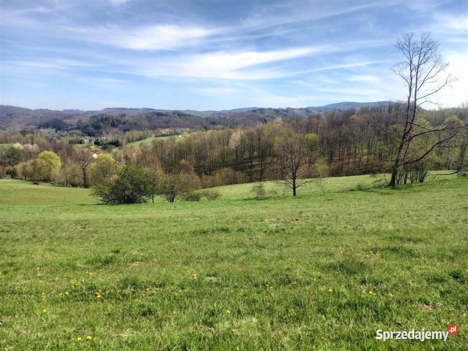 Widok na Zamek Grodno oraz panoramę Gór Sowich