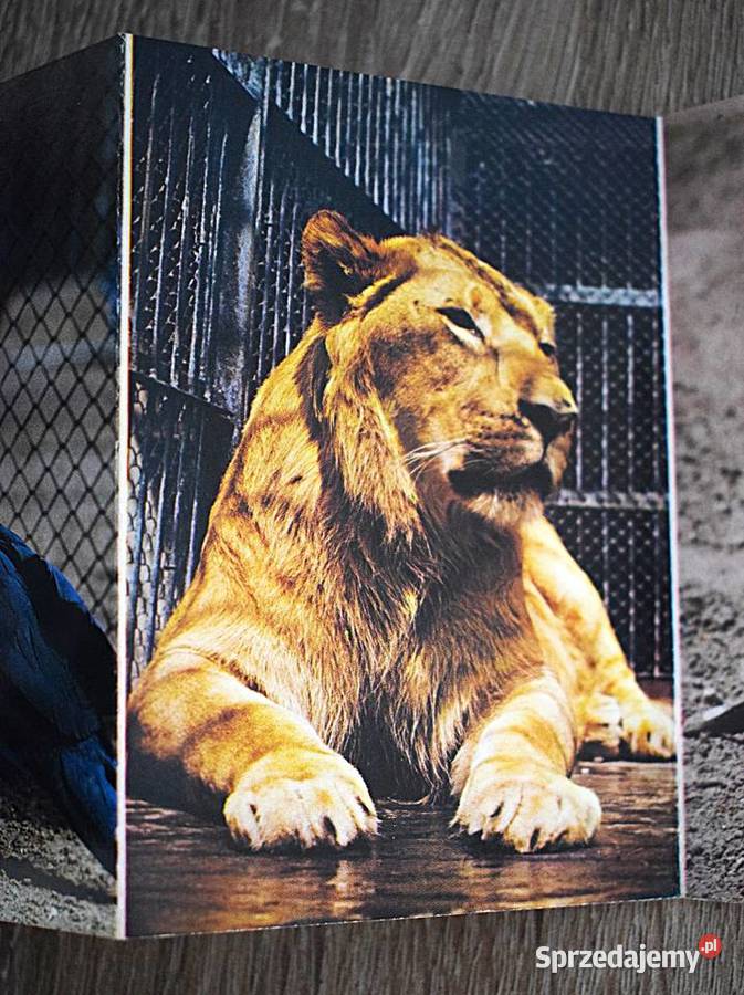 Ogród zoologiczny wybrzeża małe pocztówki w Chełmno