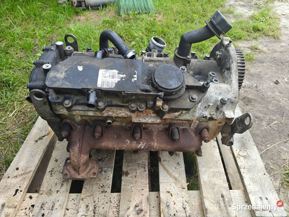 Iveco Daily 3 23 HPI głowica Rok produkcji 2002 Przytyk