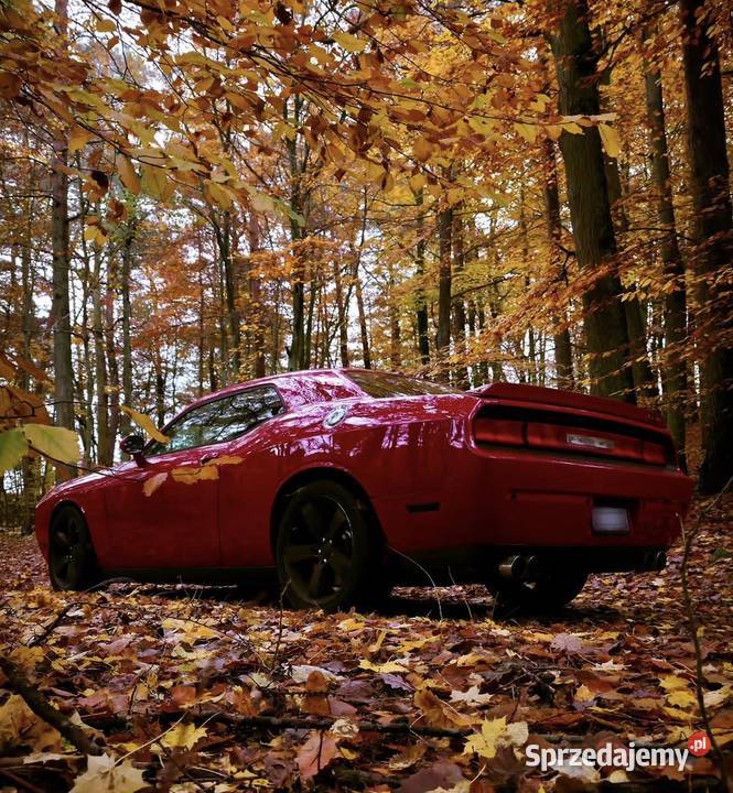 Challenger SRT8 64 V8 Gdynia