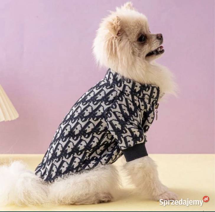 Nowa bluza ubranko psa Dior XS Warszawa