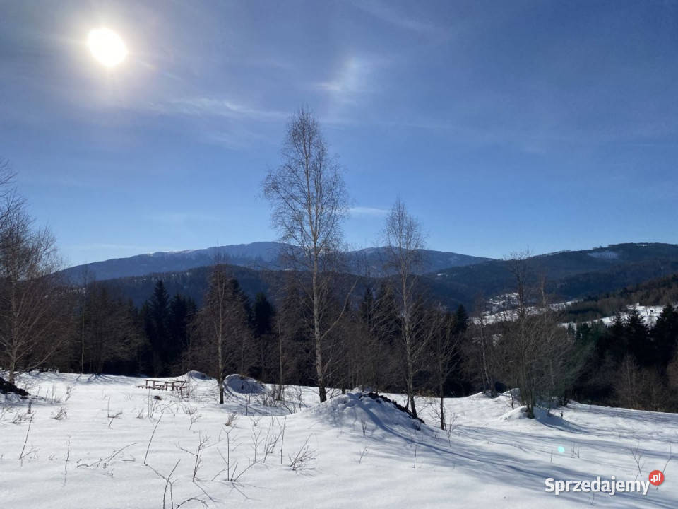 Grunt Zawoja 43062m2 Sprzedaż