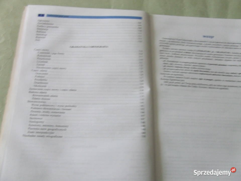 Język polski Repetytorium Gimnazjum Opracowania Książki i Podręczniki