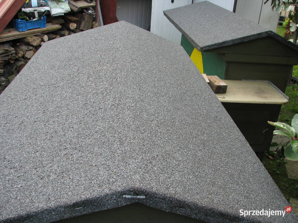 mini pasieka Olsztyn