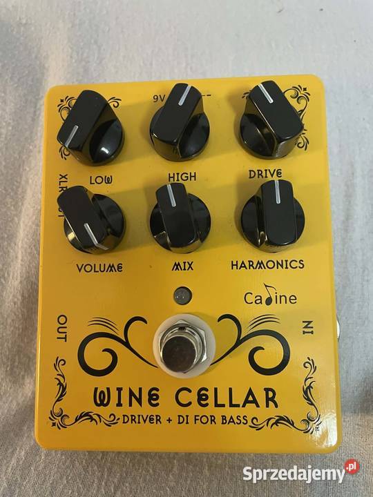 Gitara Basowa Leworeczna Ibanez wzmacniacz Ampeg Pelplin