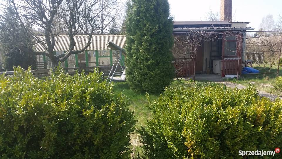 ROD ENERGETYK OGRODY DZIALKOWE SPRZEDAM WAZÓW 16 Łódź