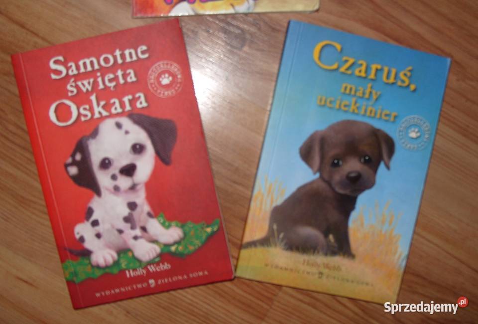 2 książeczki 1 miękka Rawicz
