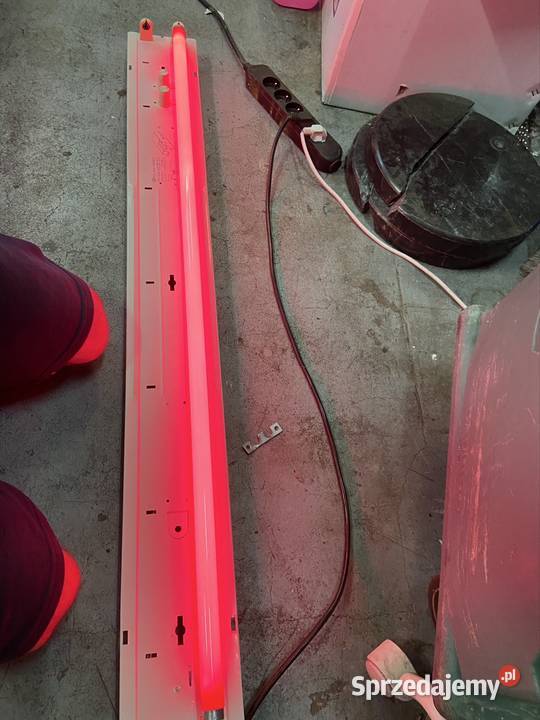 Świetlówki 36w 18 red i blue Philps TLD 18W15