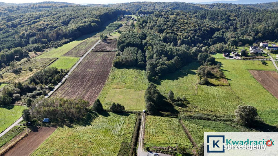 Działka Sieklówka 12304m2 budowlana sprzedam