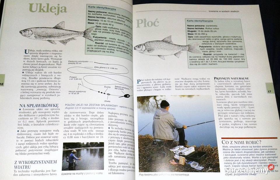 Łowienie Ryb Gatunek gatunku Eric Joly Pascal Chełm