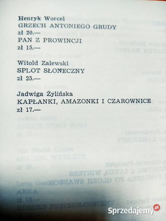 Polowanie na muchy Głowacki antykwariat Antyki, Sztuka, Kolekcje mazowieckie sprzedam