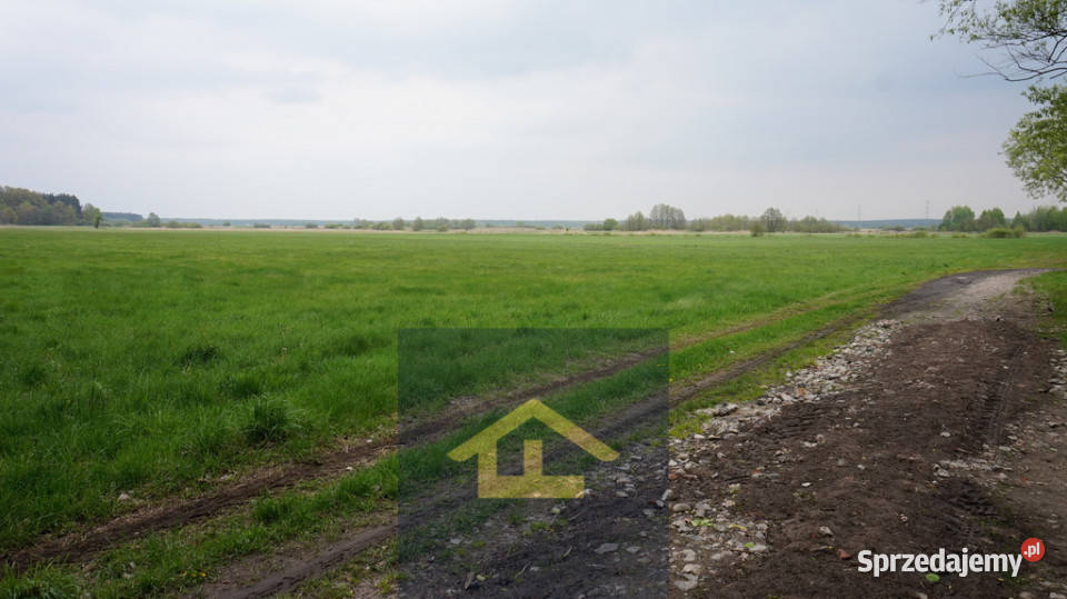 Nieruchomość w Całowaniu Całowanie