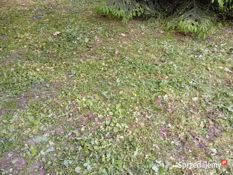 sprzedaży gruntu 1238m2 Michałowice 1238m2