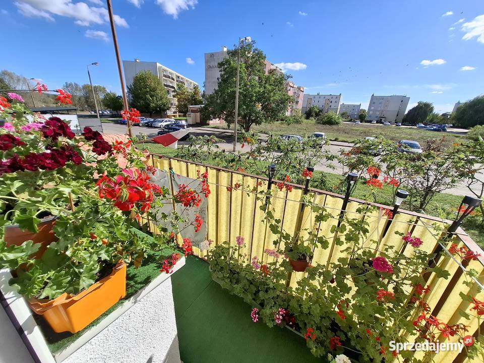 Sprzedam mieszkanie bez pośredników 2pokoje Bydgoszcz