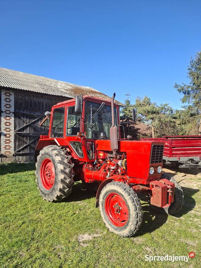 Mtz 80 stan Rybczewice Pierwsze