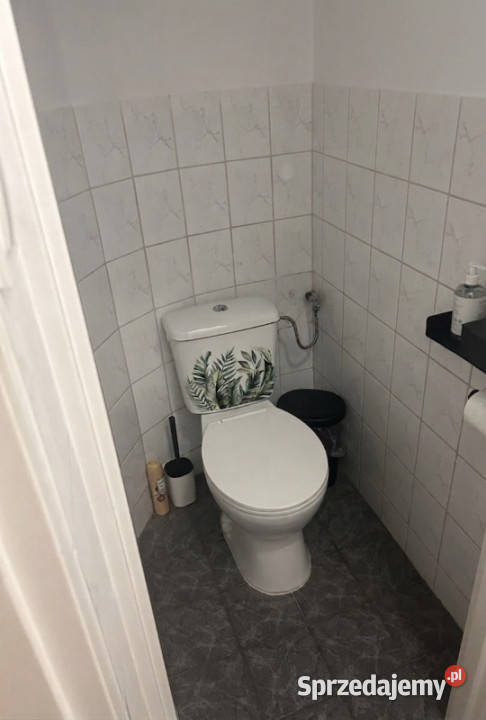 Wynajem Lokalu Wilda 13m2 wielkopolskie Poznań