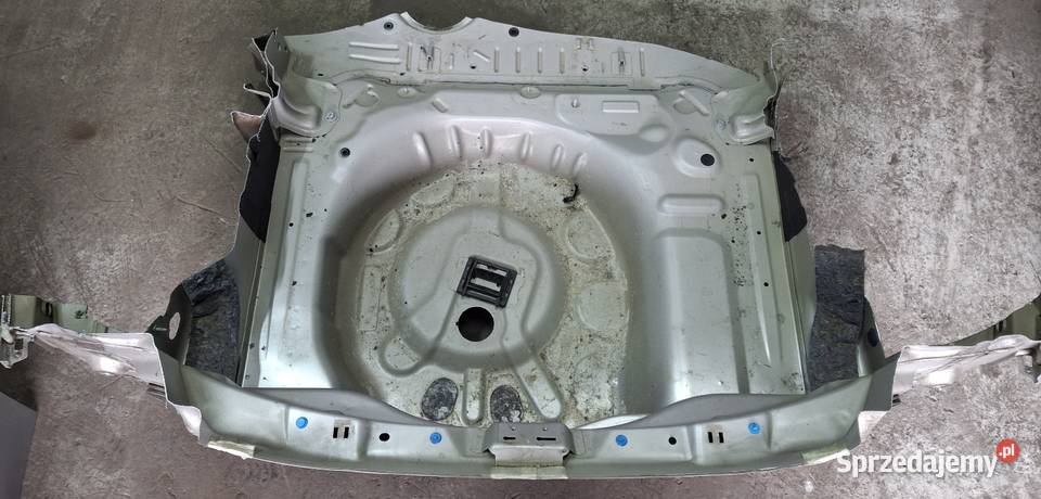 Wanna pas tył Citron cactus EZRC 14r Wola Jachowa sprzedam