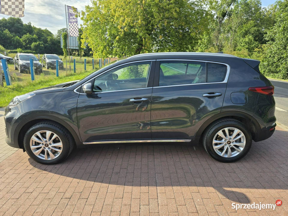Kia Sportage Kia Sportage IV 16 CRDI 136 Lift w światła przeciwmgielne Cielcza