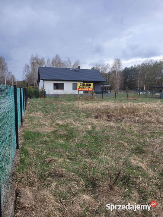 Działka koło Zalesia Górnego