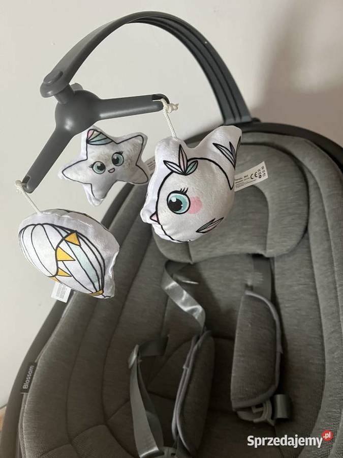 Bujaczek lionelo 0-9kg sprzedam