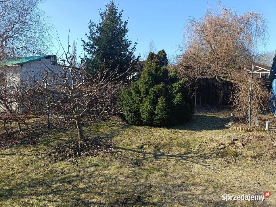 Działka ROD Paluch Miejski Warszawa