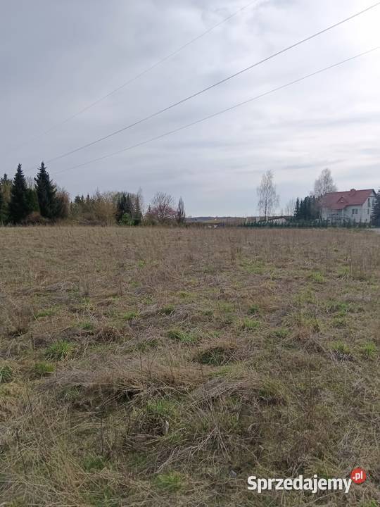 Sprzedam działkę w Kościerzyna Wybudowanie budowlana Sprzedaż