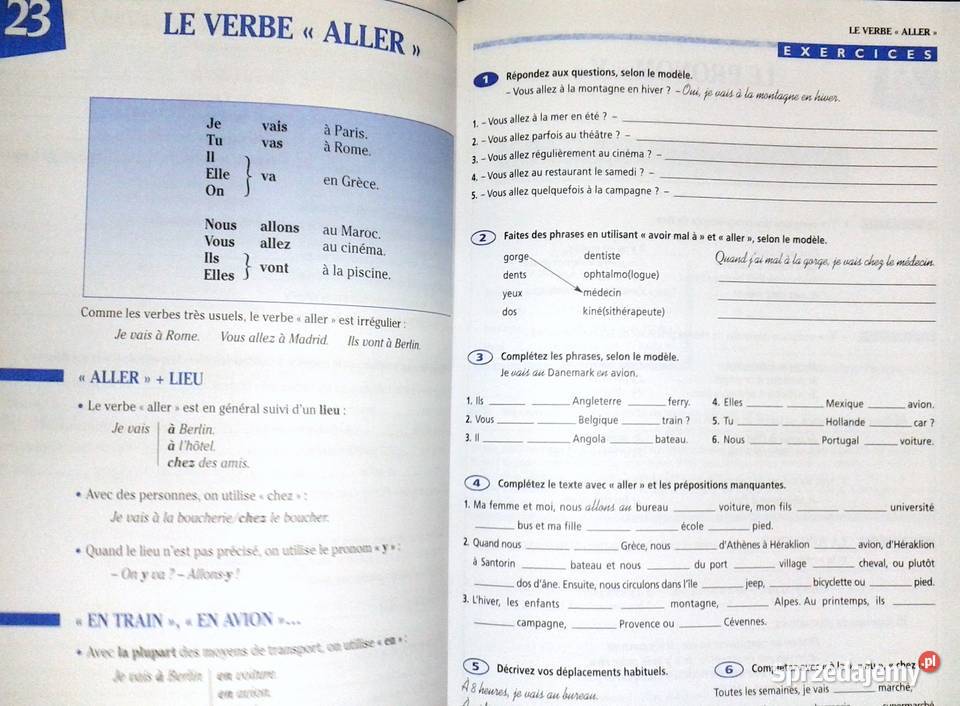 Grammaire progressive du franais avec 600 Pozostałe