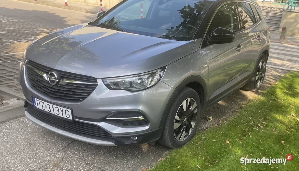 Opel grandland x kurtyny powietrzne Poznań