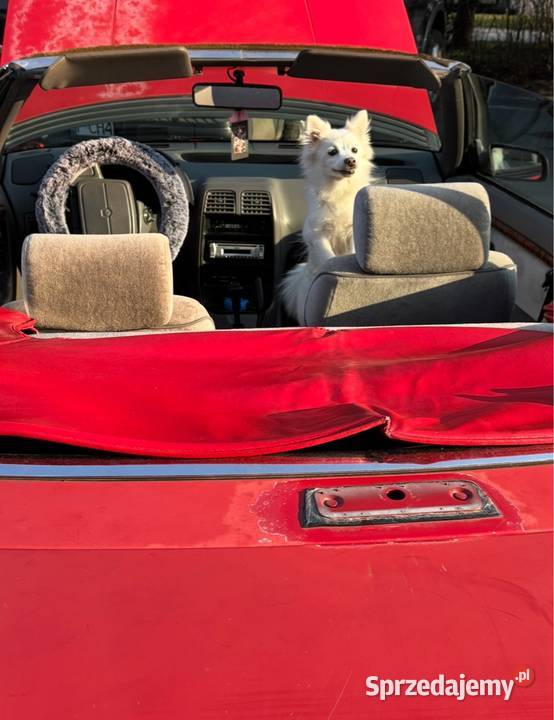 Chrysler Le Baron zarejestrowany na zabytek Skała