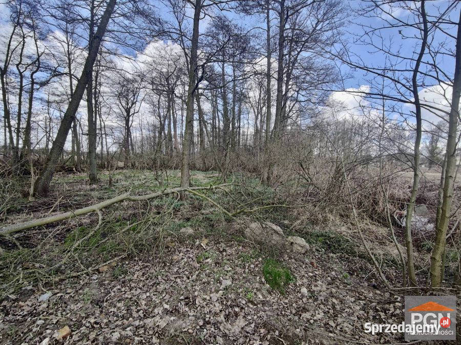 Do sprzedaży działka Wolin Boczna 6470m2
