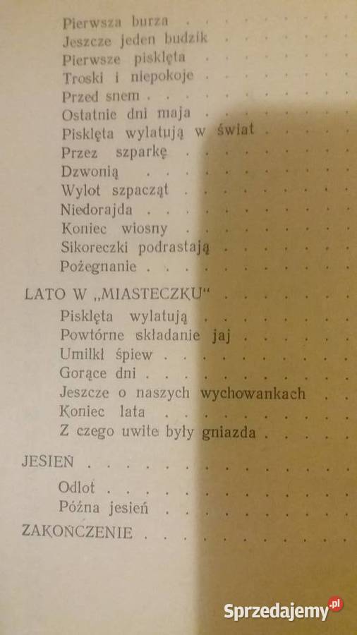 Ptasie miasteczko książki ładne dziecięce Warszawa