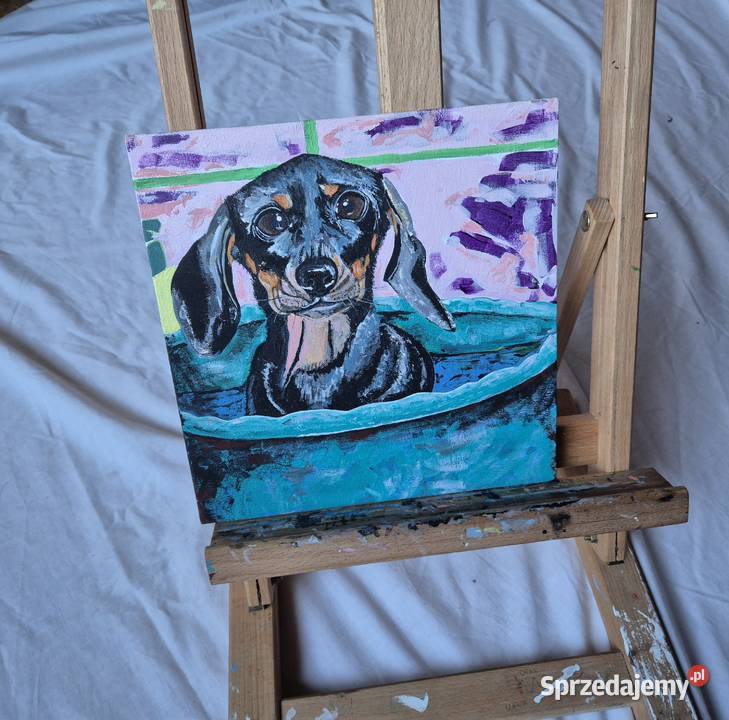 Obraz jamnik jamniczek artysty na prezent na