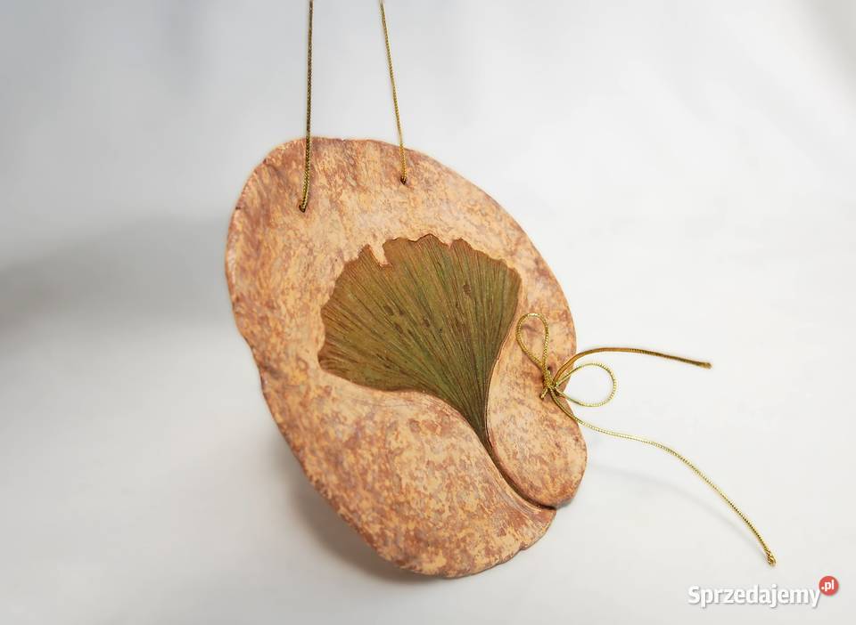 Miłorząb japoński gingko biloba liść zawieszka z Lublin